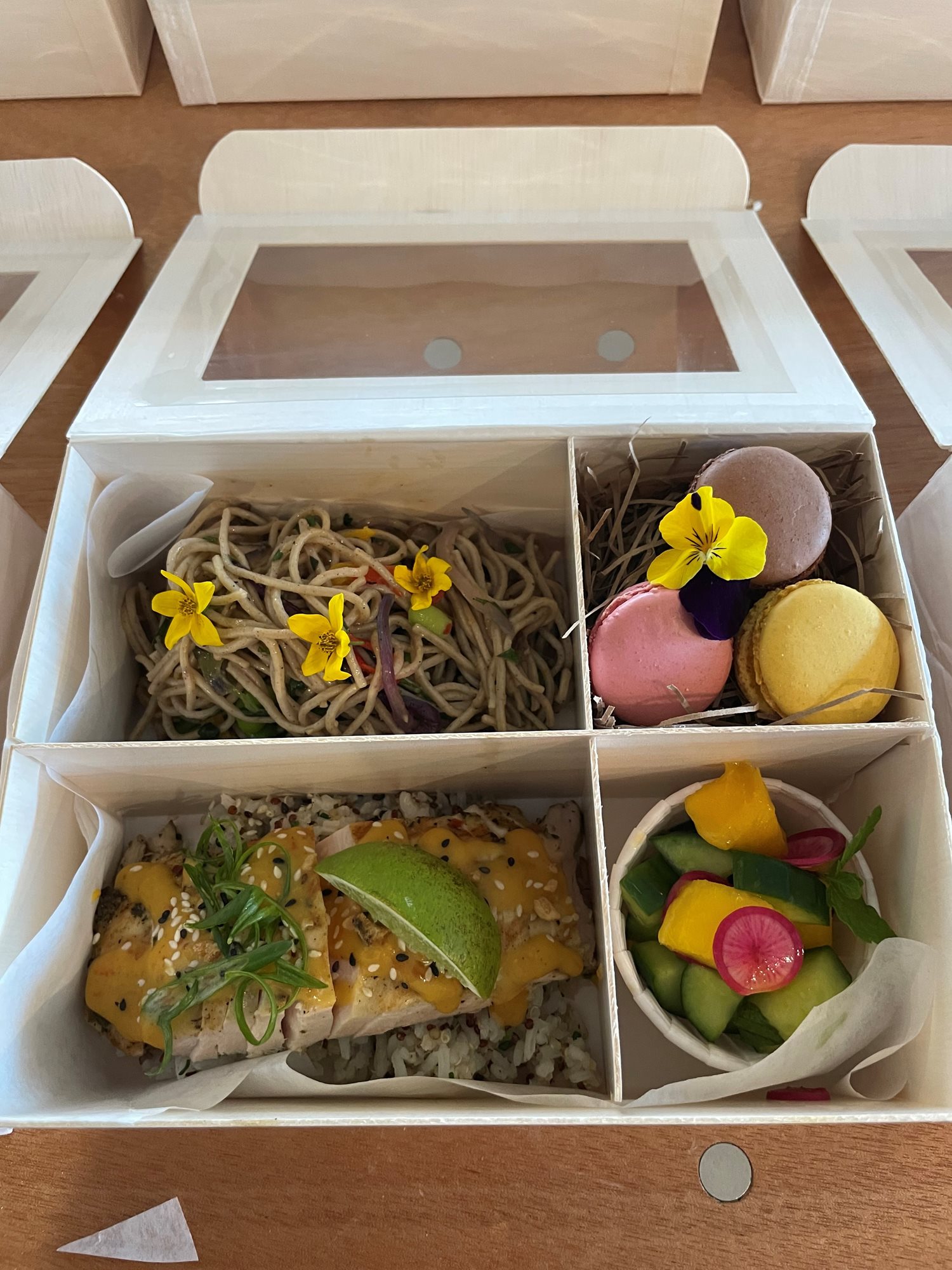 Bento-Box-Coosaw-Creek